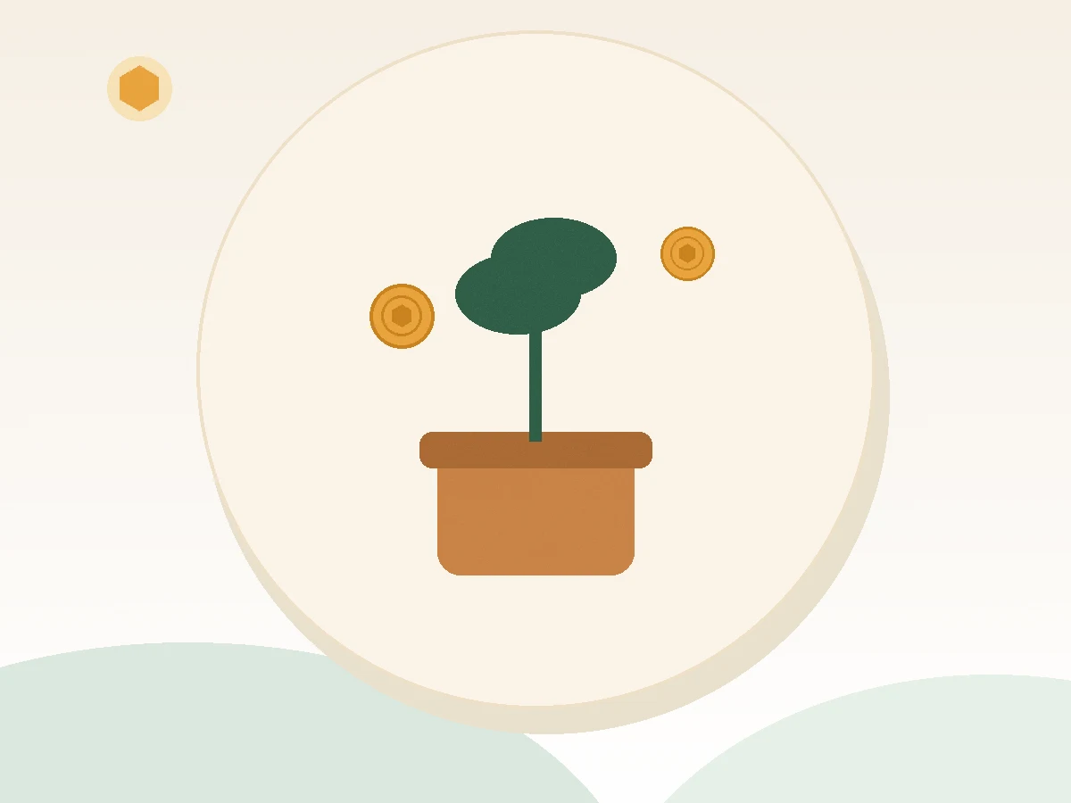 Young plant growing beside coins symbolizing rebuilding after a declined loan application