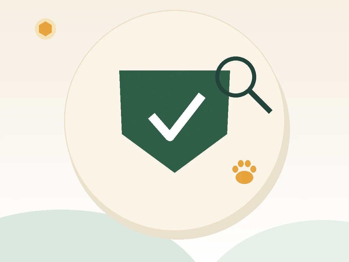 Shield with checkmark and magnifying glass illustrating whether bear loan services are legit
