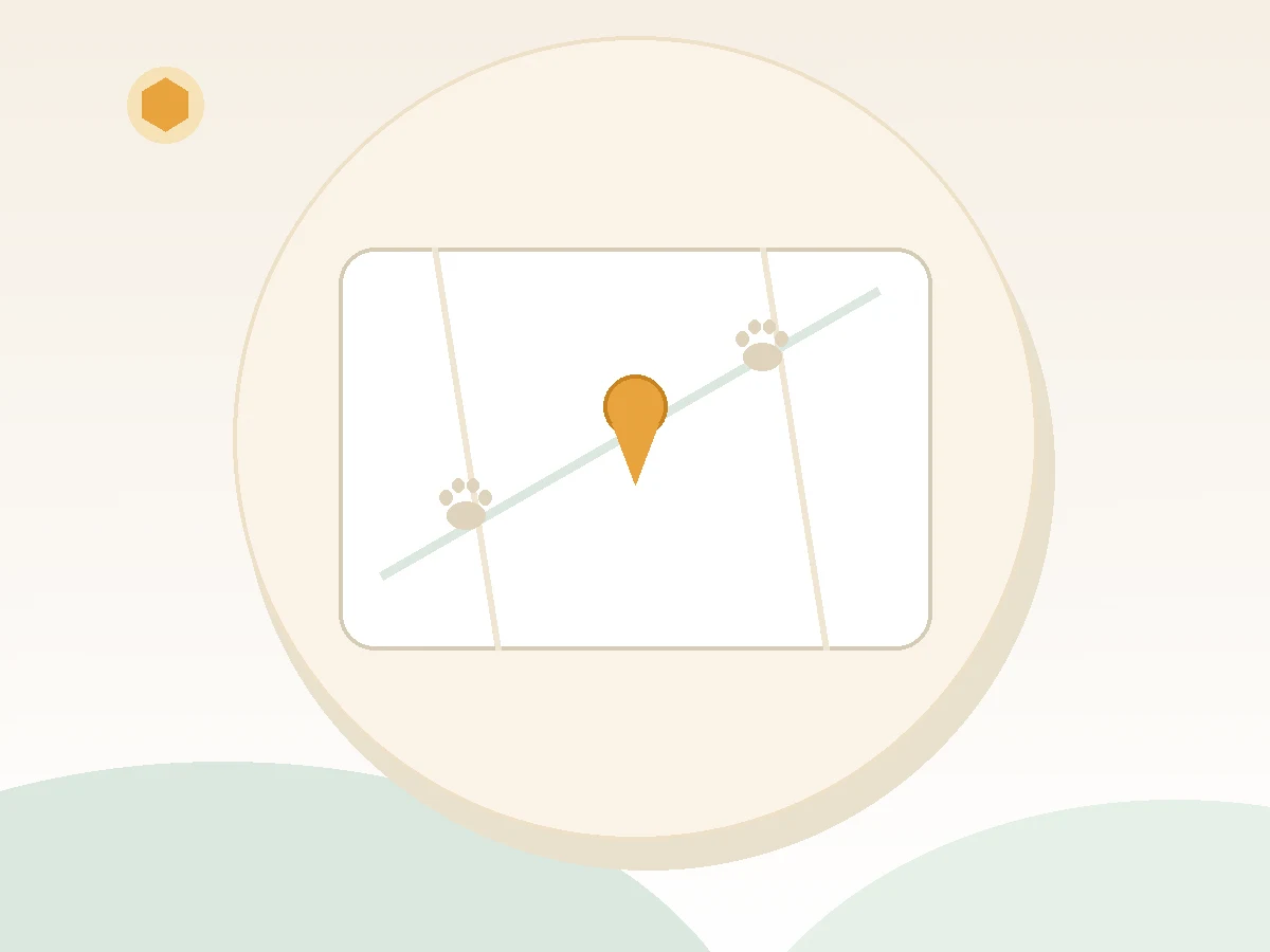 Map with a marked path representing the steps of a bear loan from application to repayment